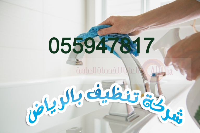 شركة تنظيف بالرياض