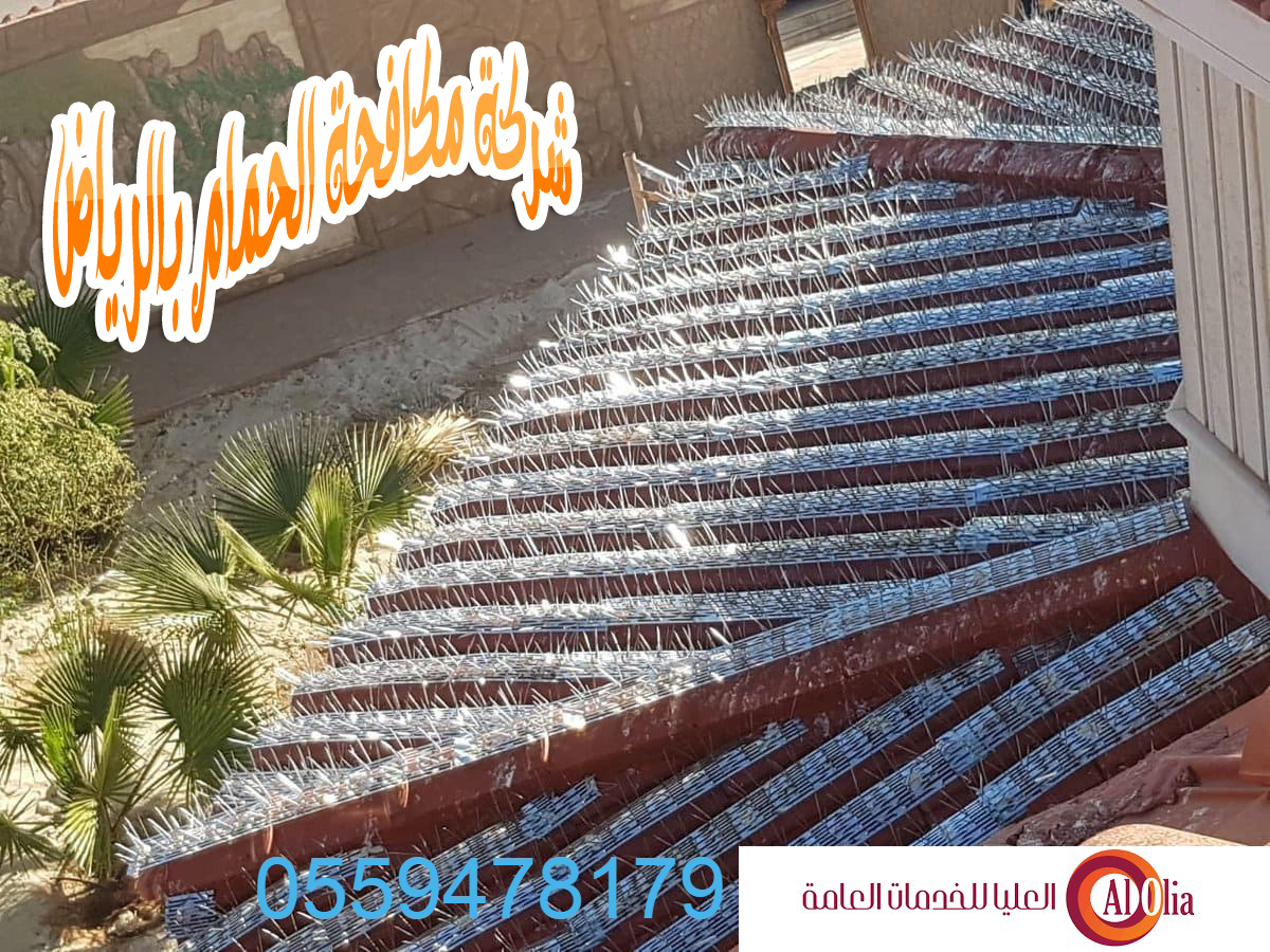 شركة مكافحة الحمام بالرياض